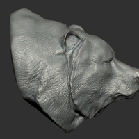 Grizzly bear bust - Thumbnail 3