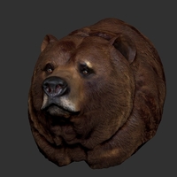 Grizzly bear bust - Thumbnail 4