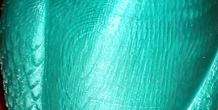 Image 97686