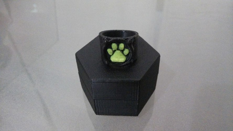 3d Printed Chat Noirs Ring By Vexelius Pinshape