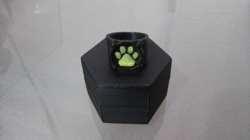 Chat Noir's Ring