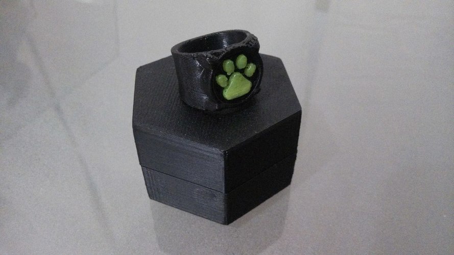Chat Noir's Ring 3D Print 97693