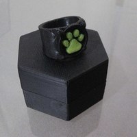 Chat Noir's Ring - Thumbnail 2