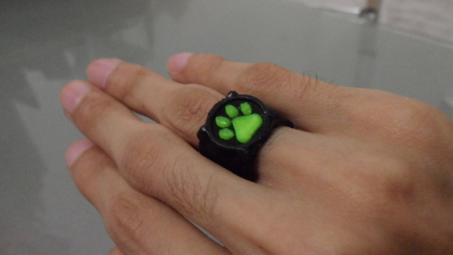 Chat Noir's Ring 3D Print 97694