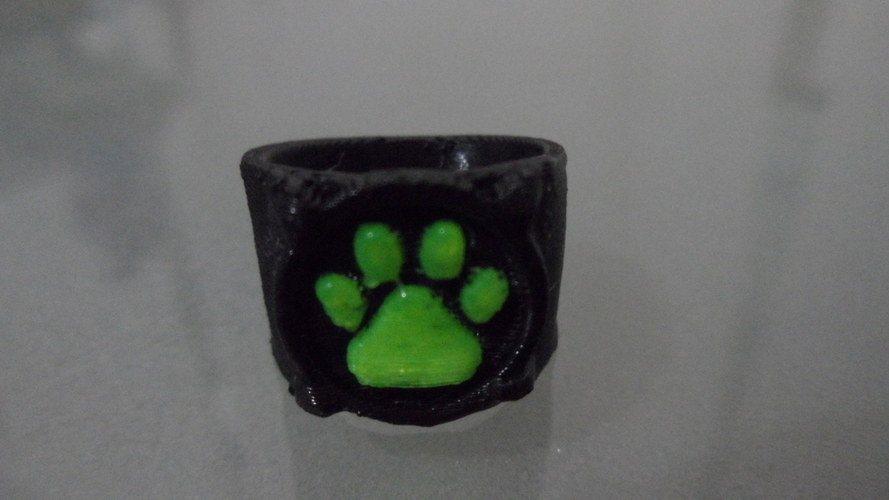Chat Noir's Ring 3D Print 97695