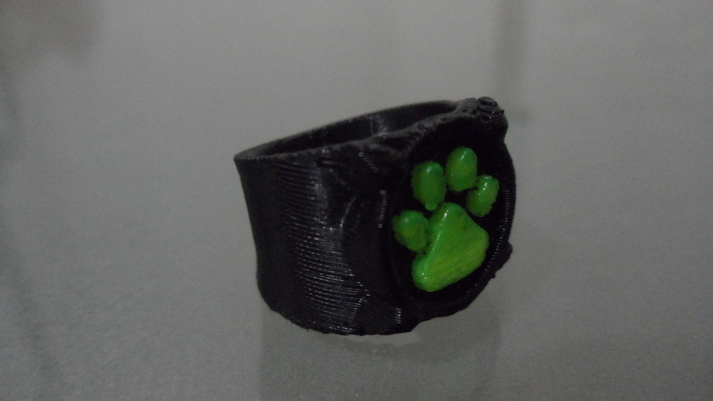 3d Printed Chat Noir S Ring By Vexelius Pinshape