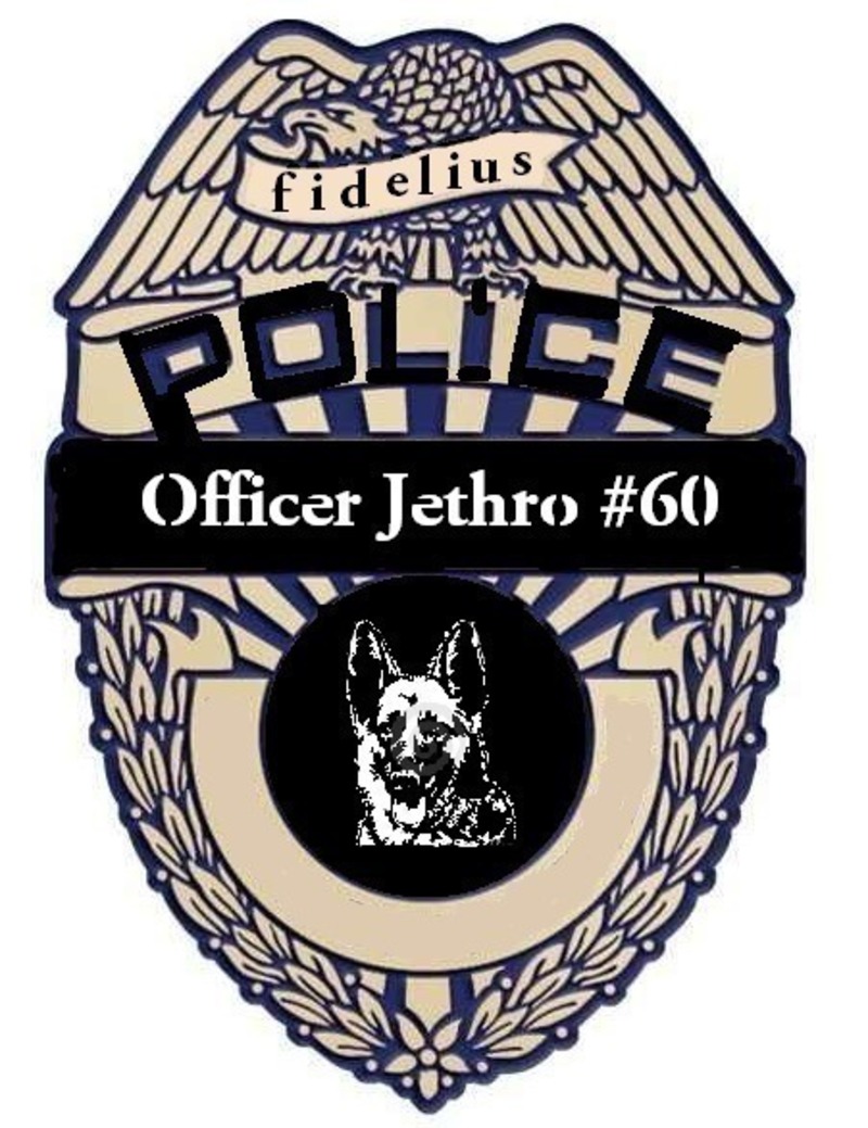 "Unconditional" collar tag, ring, bracelet, coin - RIP Jethro