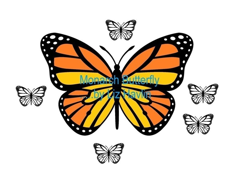 Monarch Butterfly