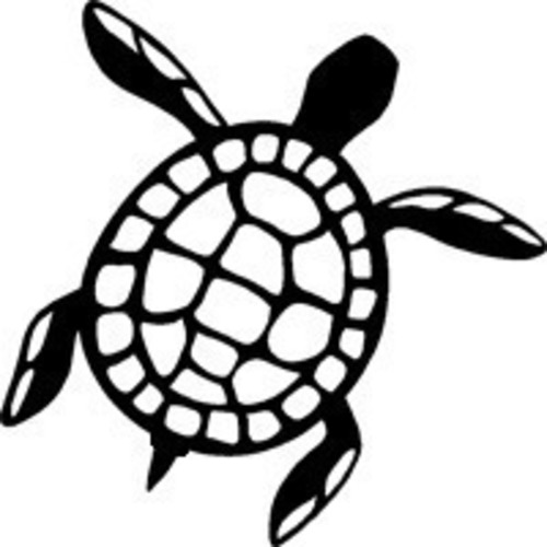 Sam the Sea Turtle 3D Print 97854