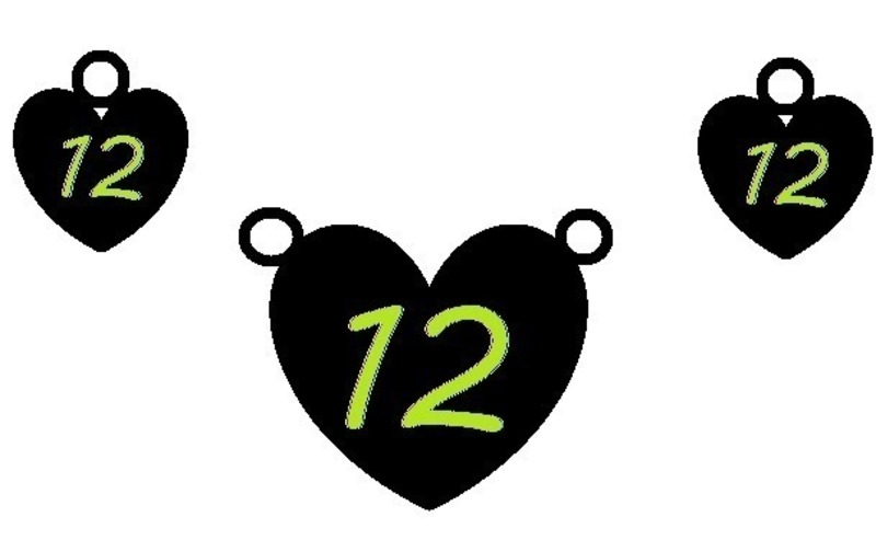 Seahawks Girl - I heart 12 