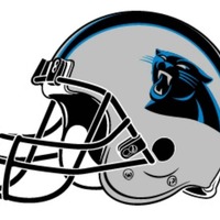 Small South Carolina Panthers Helmet  3D Printing 97875