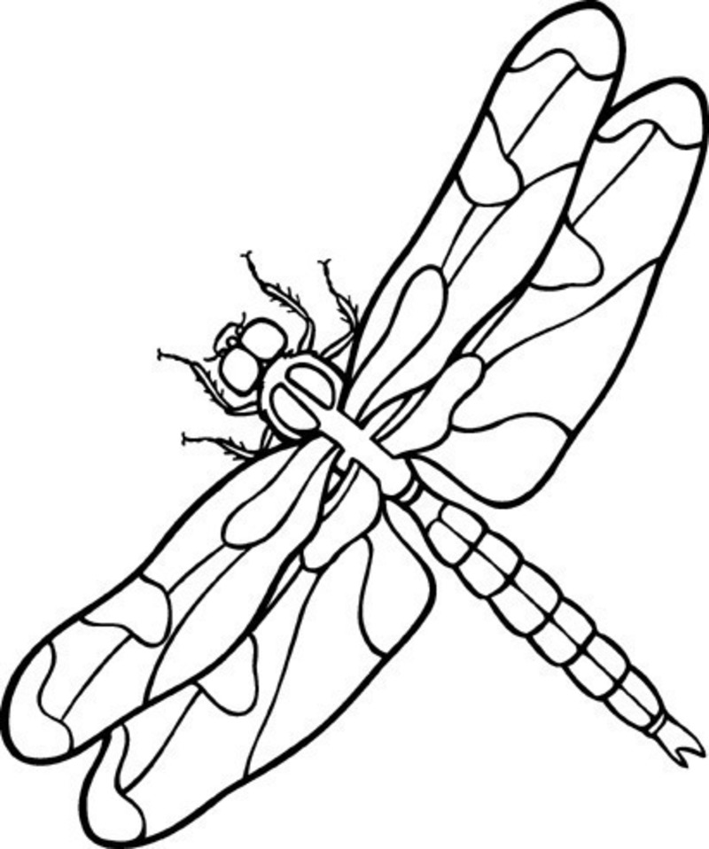 Dragonfly