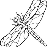 Small Dragonfly 3D Printing 97877