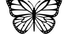 Image 97899