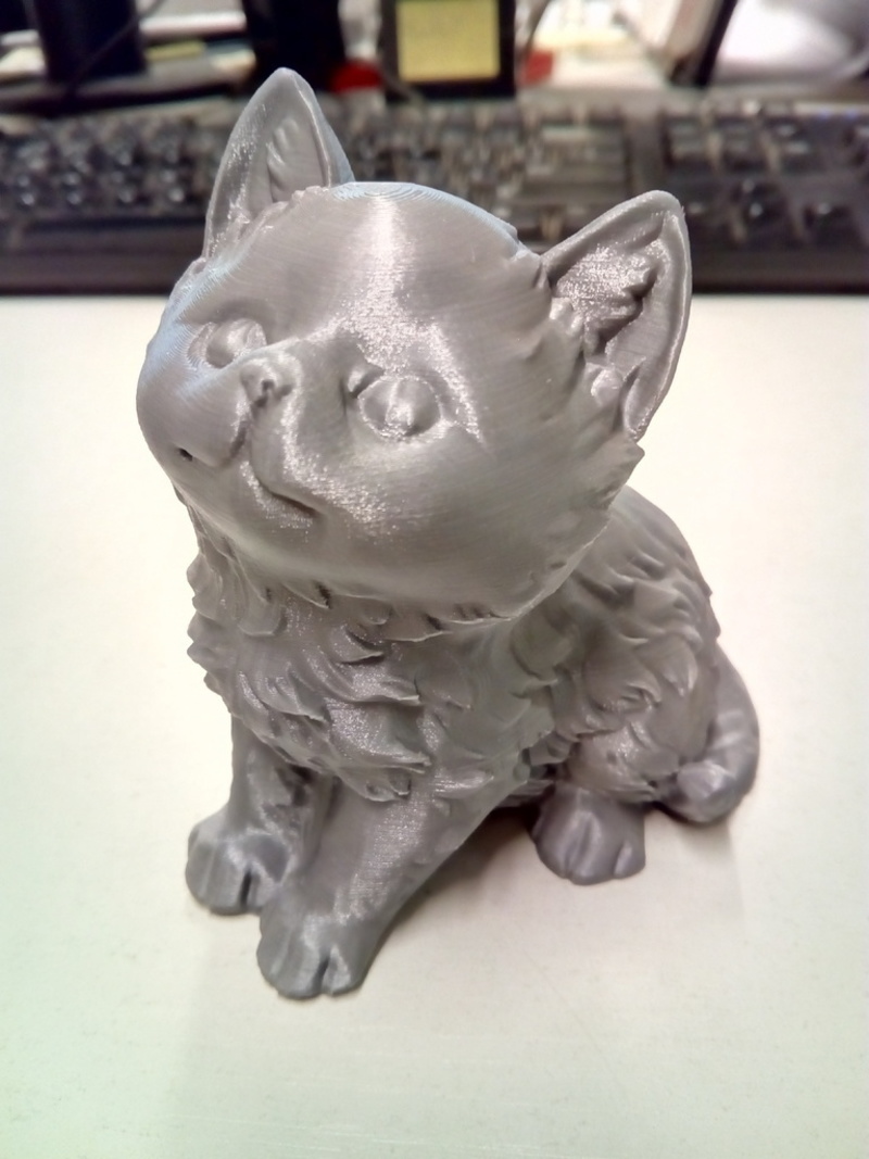 Kitten