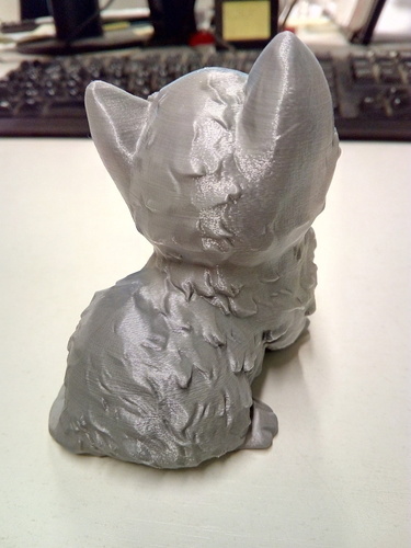 Kitten 3D Print 98462