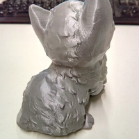 Kitten - Thumbnail 2