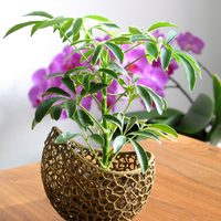 A burgeoning capsule Planter (2-color/part version) - Thumbnail 5