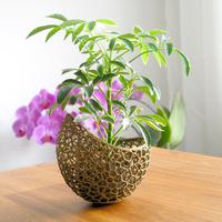A burgeoning capsule Planter - Thumbnail 1
