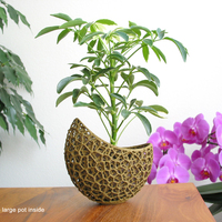 A burgeoning capsule Planter - Thumbnail 2