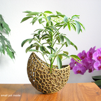 A burgeoning capsule Planter - Thumbnail 3