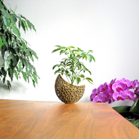 A burgeoning capsule Planter - Thumbnail 4