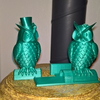 His_and_Her_Owls - Thumbnail 4