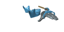 Image 99476