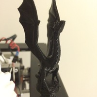 Small Aria the Dragon 3D Printing 10121