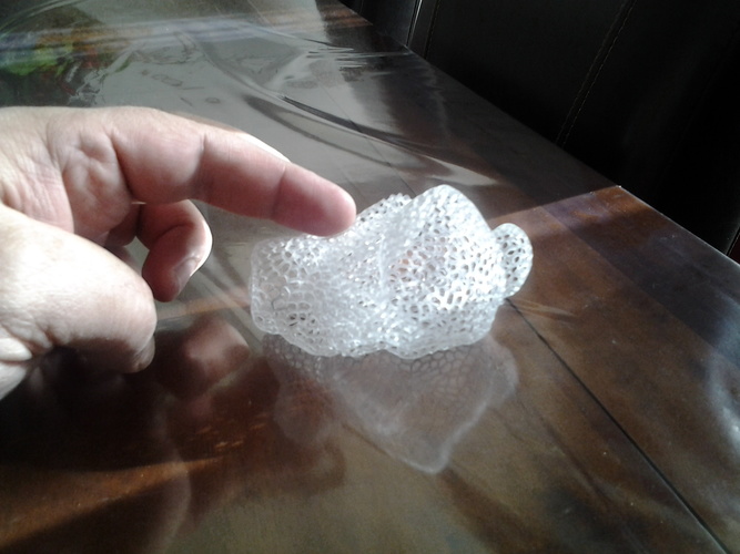 Stanford Easter Bunny - Voronoi 3D Print 10152
