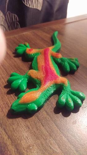 Gecko 3D Print 10429