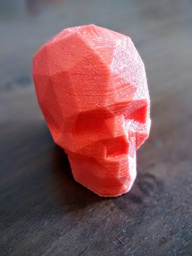 Low Poly Skull 3D Print 1102