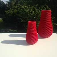 Small Spiral Vase 3D Printing 11081