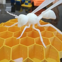 Small Big Wasp 3D Printing 11157