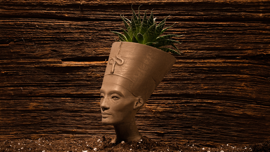 Nefertiti Bust [Hollow] 3D Print 11311