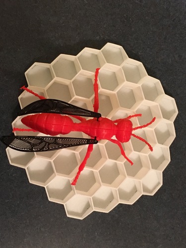 Big Wasp 3D Print 11701
