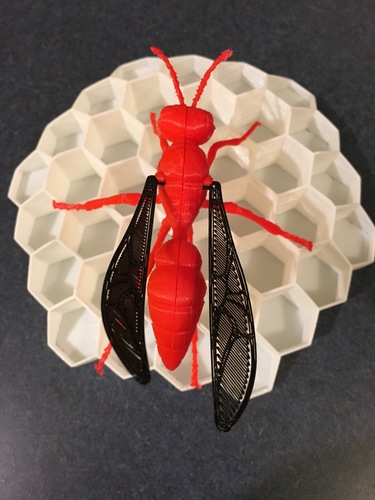 Big Wasp 3D Print 11703