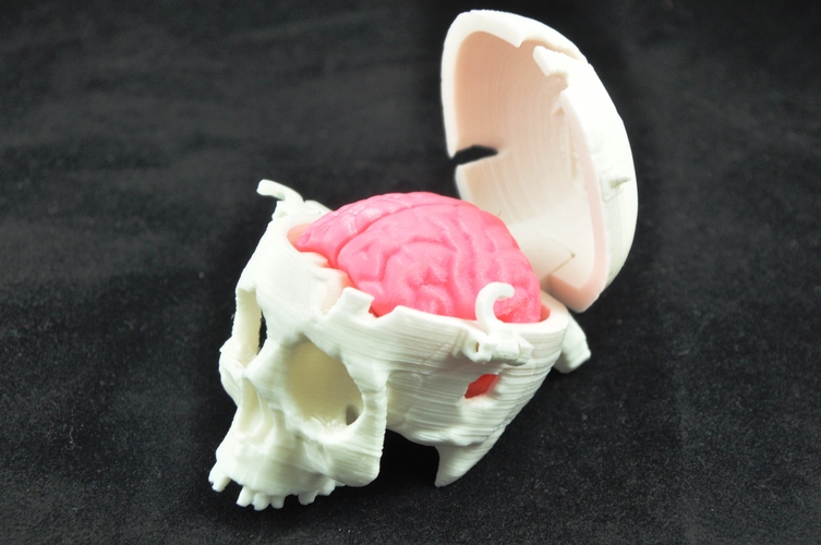Boneheads: Skull Box w/ Brain - via 3DKitbash.com 3D Print 12466