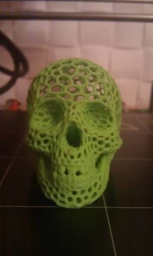 Skull lamps - Voronoi Style 3D Print 13401