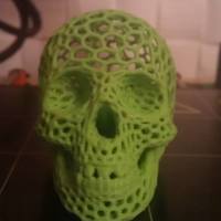 Small Skull lamps - Voronoi Style 3D Printing 13401