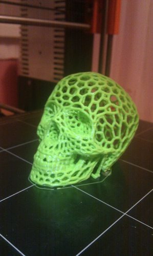 Skull lamps - Voronoi Style 3D Print 13402