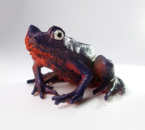 Wood Frog 3D Print 13584