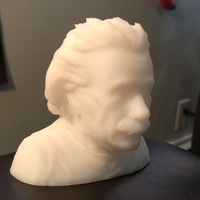 Small Einstein Bust (14K) 3D Printing 13656