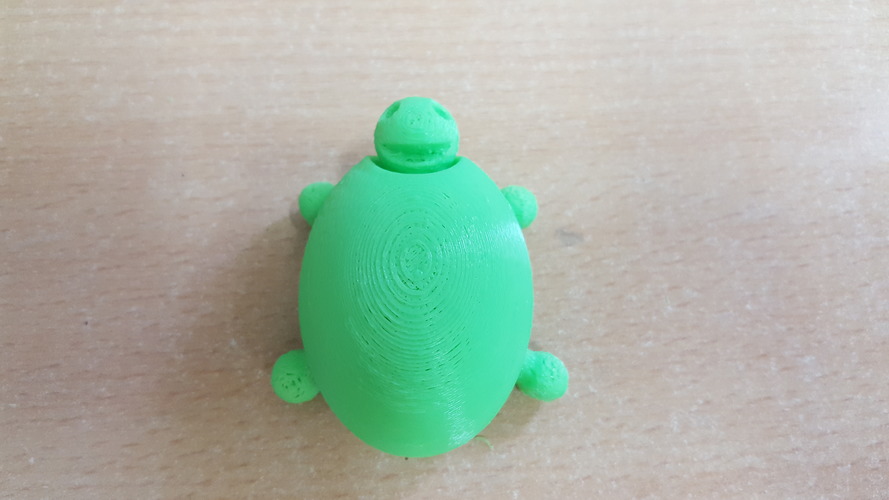 Turtle 3D Print 14298