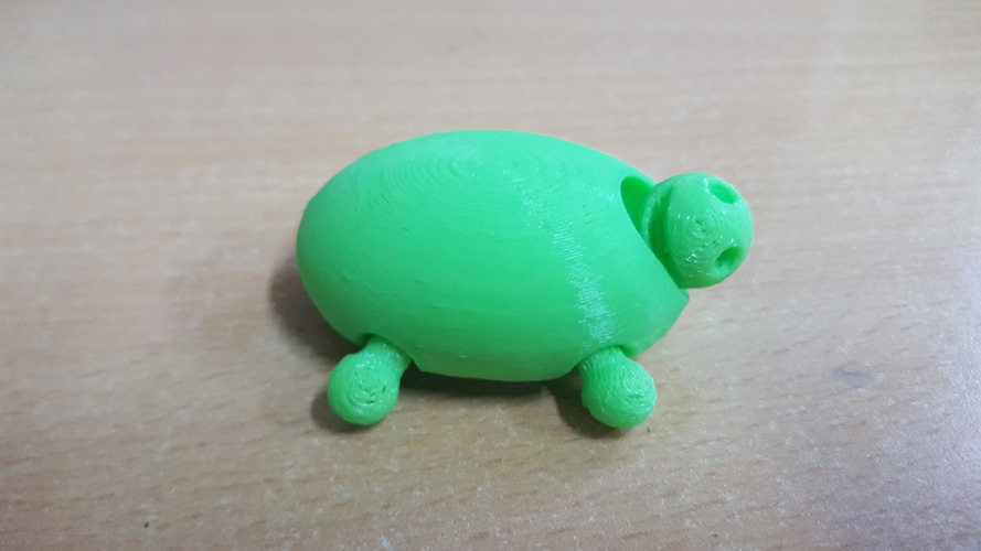 Turtle 3D Print 14299