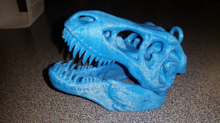 The T-Rex Skull 3D Print 14357
