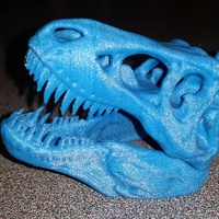 Small The T-Rex Skull 3D Printing 14357