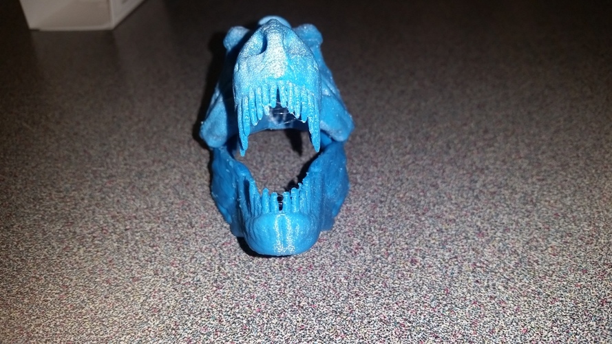 The T-Rex Skull 3D Print 14358