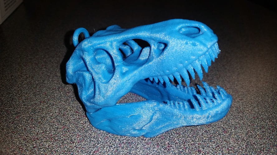 The T-Rex Skull 3D Print 14359