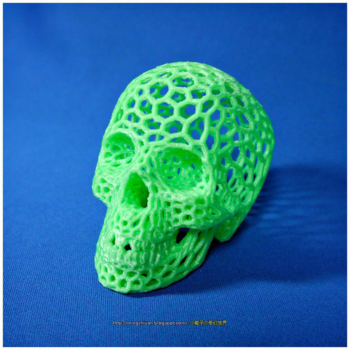 Skull lamps - Voronoi Style 3D Print 14461
